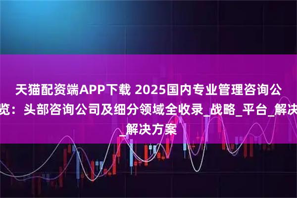 天貓配資端APP下載 2025國內專業管理咨詢公司概覽：頭部咨詢公司及細分領域全收錄_戰略_平臺_解決方案